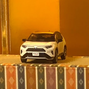 RAV4 AXAH54