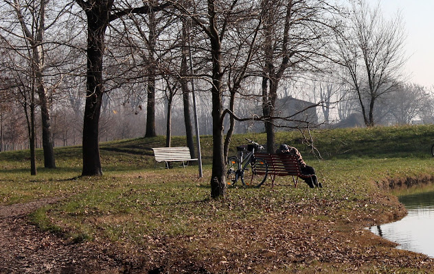 Riposo in solitudine di Lela69