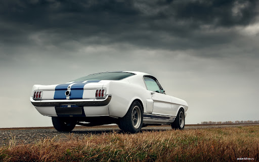 GT350