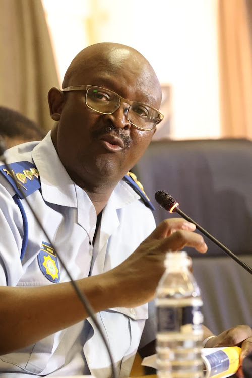 Gauteng police commissioner Lt-Gen Elias Mawela has lamented the justice system's failure to deal with undocumented migrants who are arrested by police. File photo.