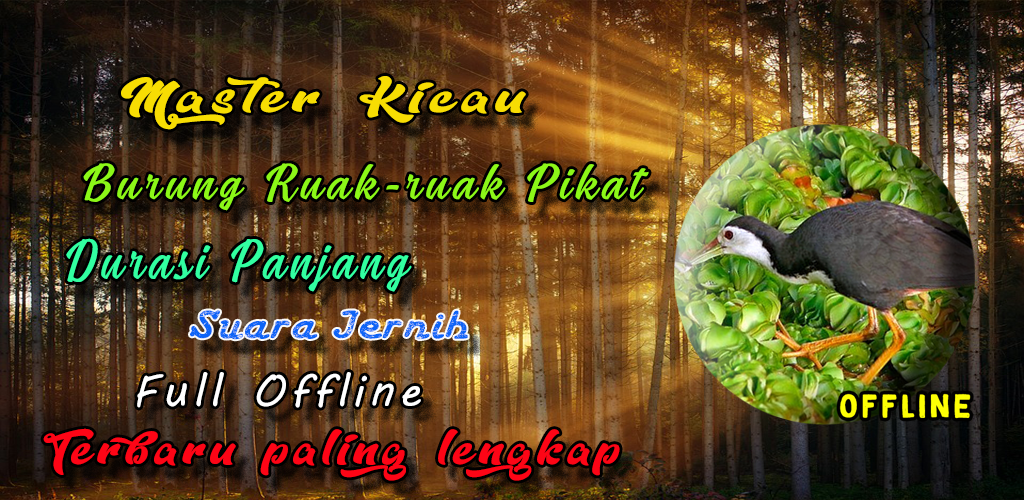 Pikat wak wak