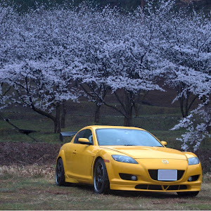 RX-8 SE3P