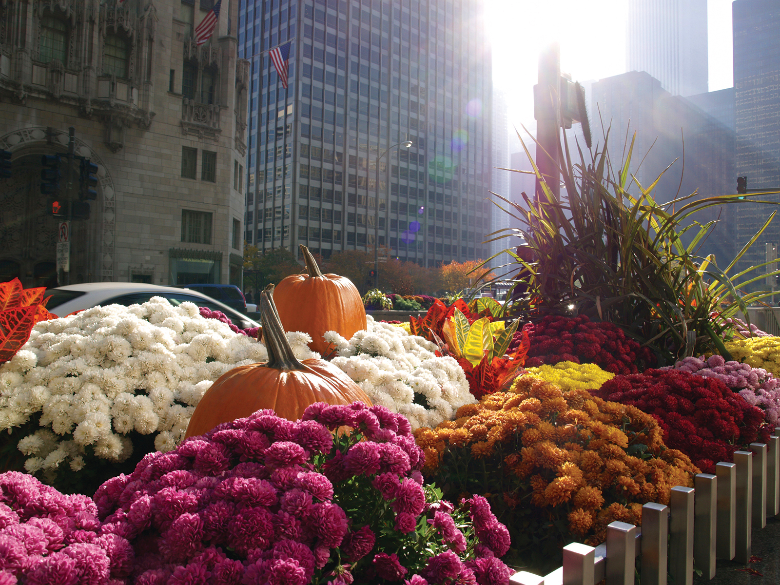 Autunno a Chicago di elisacosta