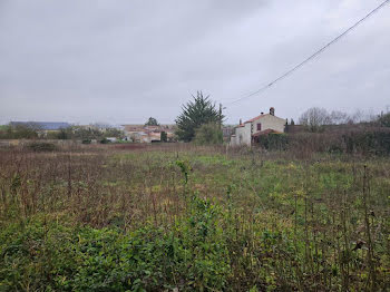 terrain à batir à Saint-Pierre-de-Juillers (17)