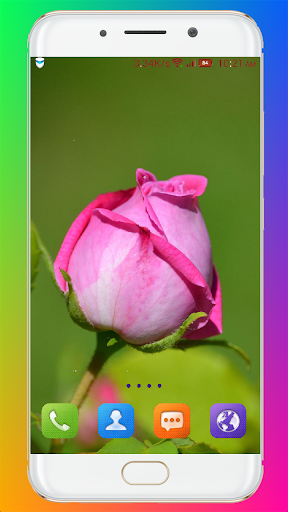 Pink Flower Wallpaper