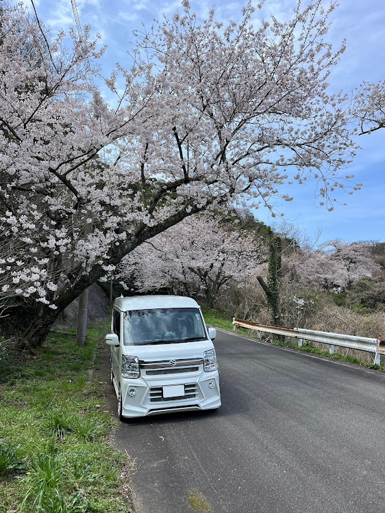 の投稿画像2枚目