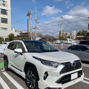 RAV4 AXAH54