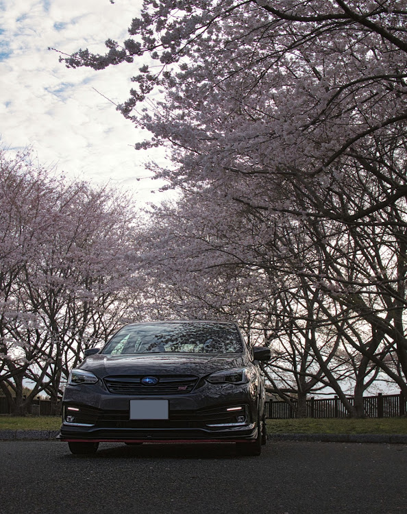 インプレッサ スポーツの桜とコラボ🌸・初投稿場所・偶然みつけた撮影スポット・ワークエモーションZR10 2P・いいね！をしてくれた人に感謝✨に関するカスタム事例の投稿画像2枚目