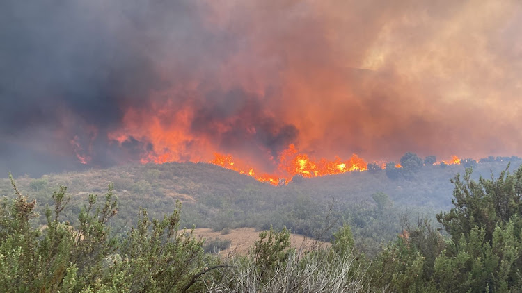 A fire is burning out of control on the Theron's Pass in Ceres, part of the Cape Winelands district municipality.