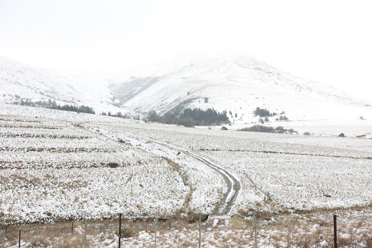 Hundreds flocked to Hogsback to enjoy the winter wonderland that covered the high lying areas outside of the town.