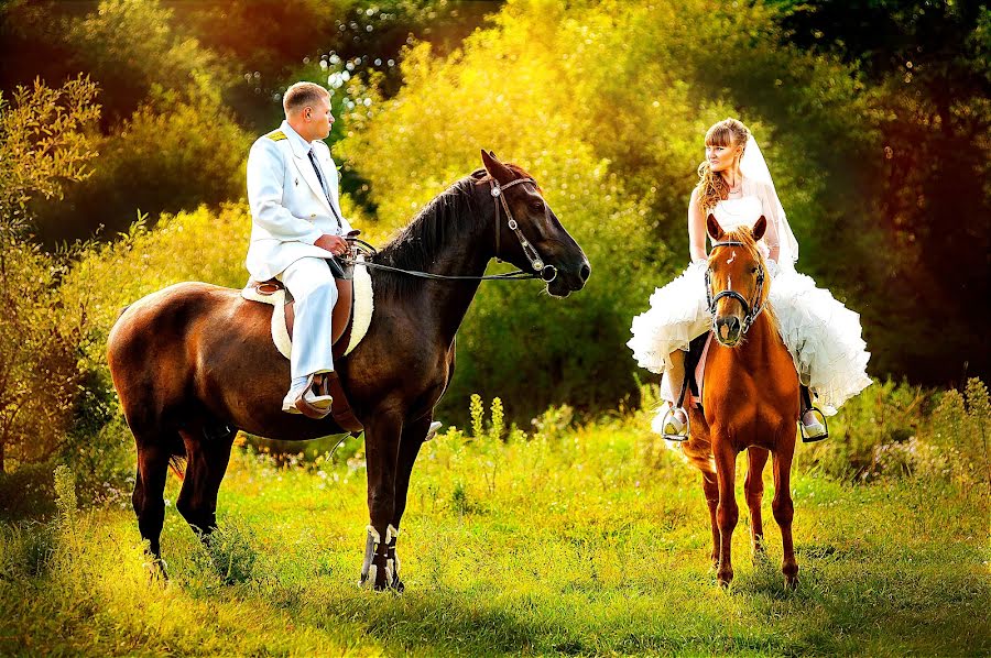 Wedding photographer Sergey Vandin (sergeyvbk). Photo of 1 January 2014