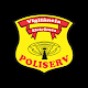 Poliserv Download on Windows