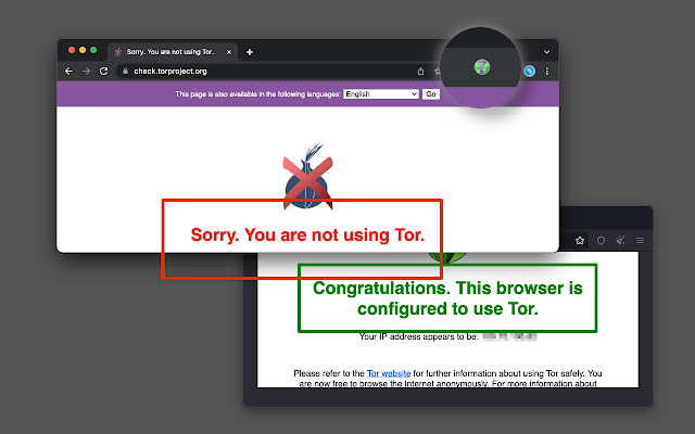 tor browser открыть megaruzxpnew4af