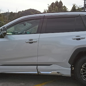 RAV4 MXAA52