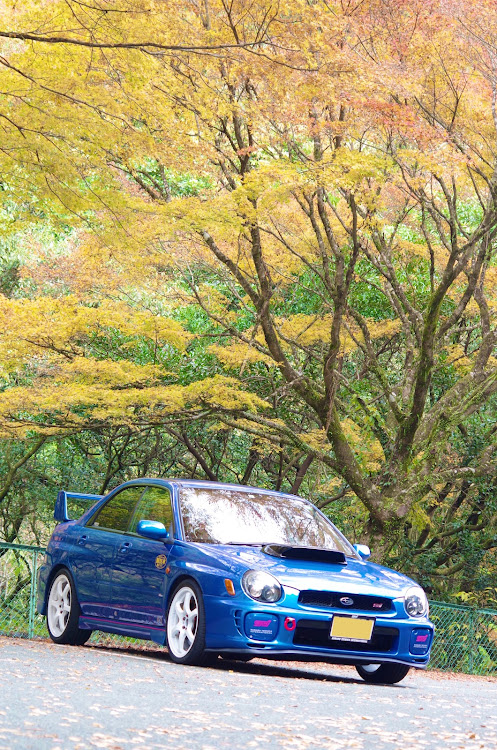 インプレッサ WRX STIのスバルサインやってますか！・紅葉を見にい紅葉🍁・菊池渓谷・道の駅めぐり・道の駅旭志に関するカスタム事例の投稿画像1枚目
