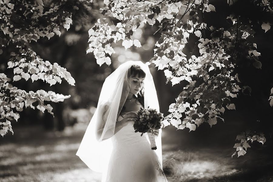 Wedding photographer Natalya Vitkovskaya (vitkovskaya). Photo of 3 October 2014