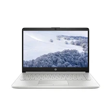 Laptop HP 14s-dk1055au (171K9PA) (Ryzen 3 3250U/RAM 4GB/256GB SSD/ Windows 10)