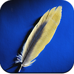 Cover Image of Download Feather wallpaper 1.01 APK