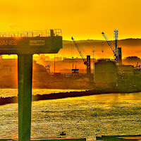 Mattino al porto di 