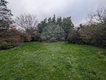 terrain à Sainte-Luce-sur-Loire (44)