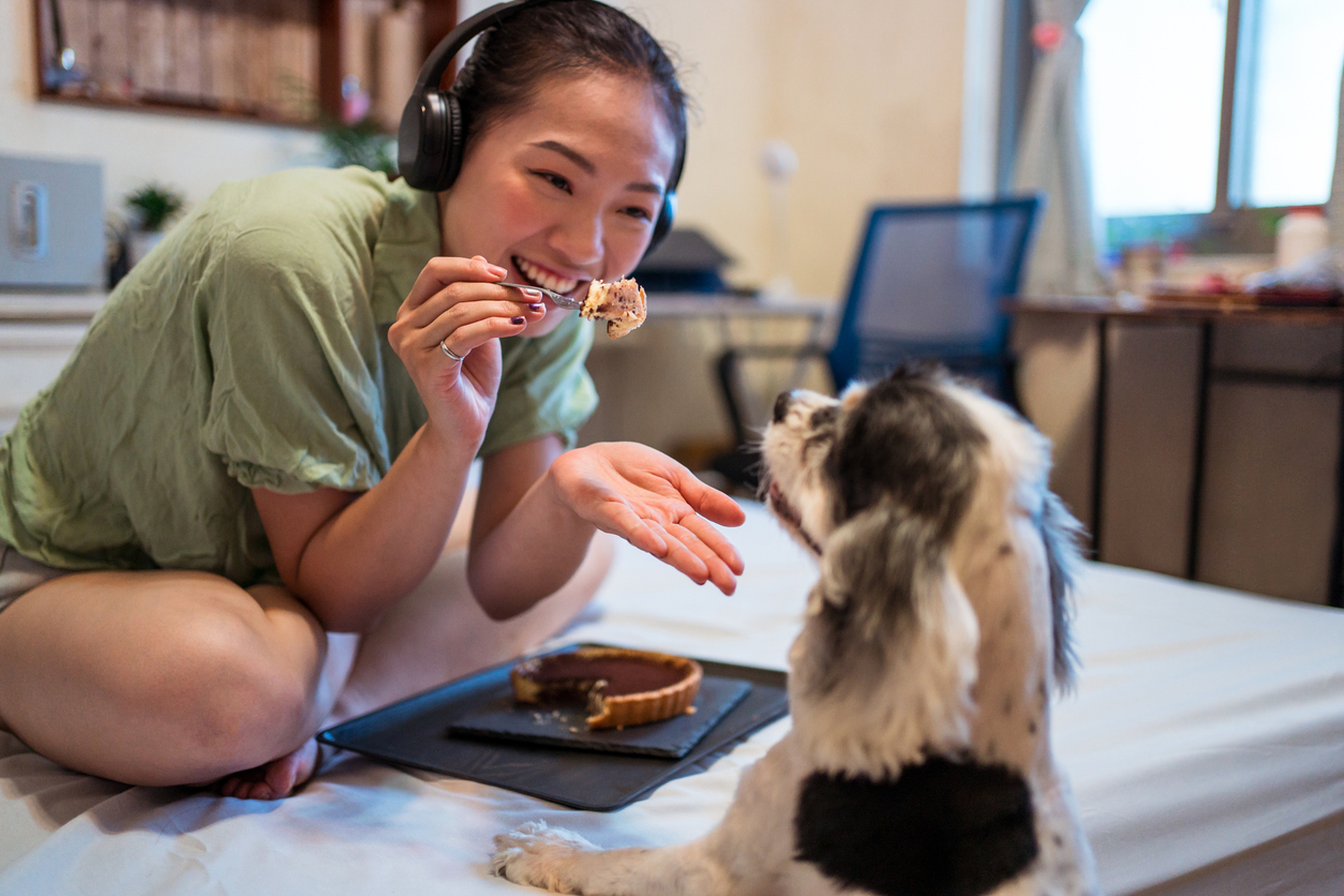 Top 20 Homemade Dog Treat Recipes Your Pooch Will Love