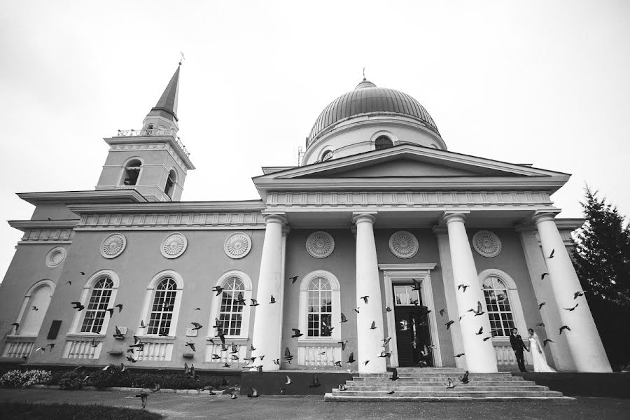 Fotografo di matrimoni Dmitriy Babenko (dboroda). Foto del 12 agosto 2013