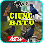 Kicau Burung Ciung Lengkap Mp3  Icon