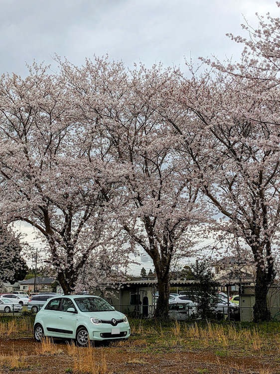 の投稿画像3枚目