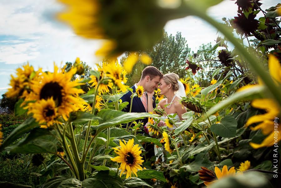 Hochzeitsfotograf Leslie Biggar (sakuraphotograph). Foto vom 20. April 2023