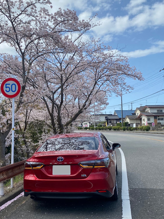 の投稿画像1枚目