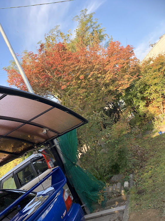 インプレッサ WRX STIの来たる日のために減衰調整・Fun to Drive・いざ東へ・紅葉🍁に関するカスタム事例の投稿画像3枚目