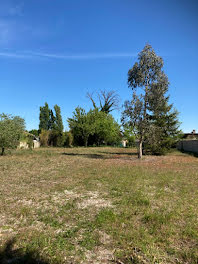 terrain à Saint-Vivien-de-Médoc (33)