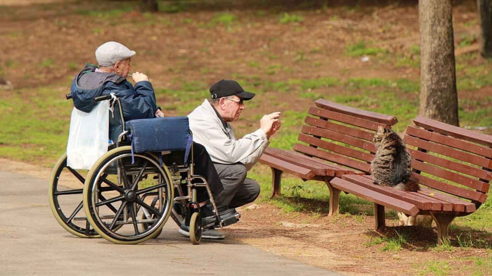 mobility aids for the elderly wheelchair