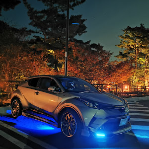 C-HR ZYX10