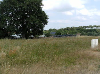 terrain à Champtocé-sur-Loire (49)