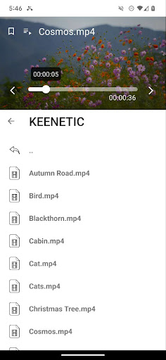 Screenshot Video player - Sweet Juice