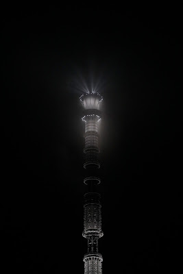 Sky Tree  di domenicofenili