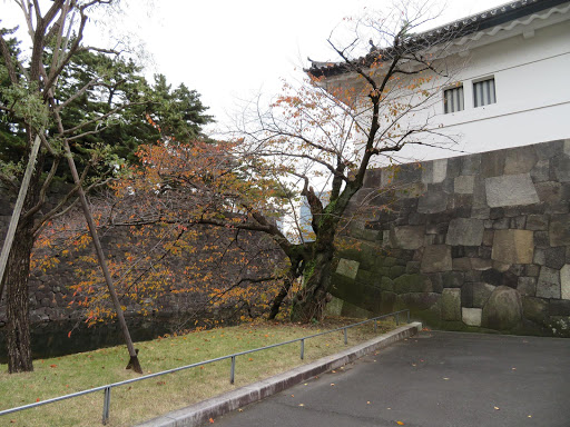 Wandering around the Imperial Palace & elsewhere Tokyo Japan 2017