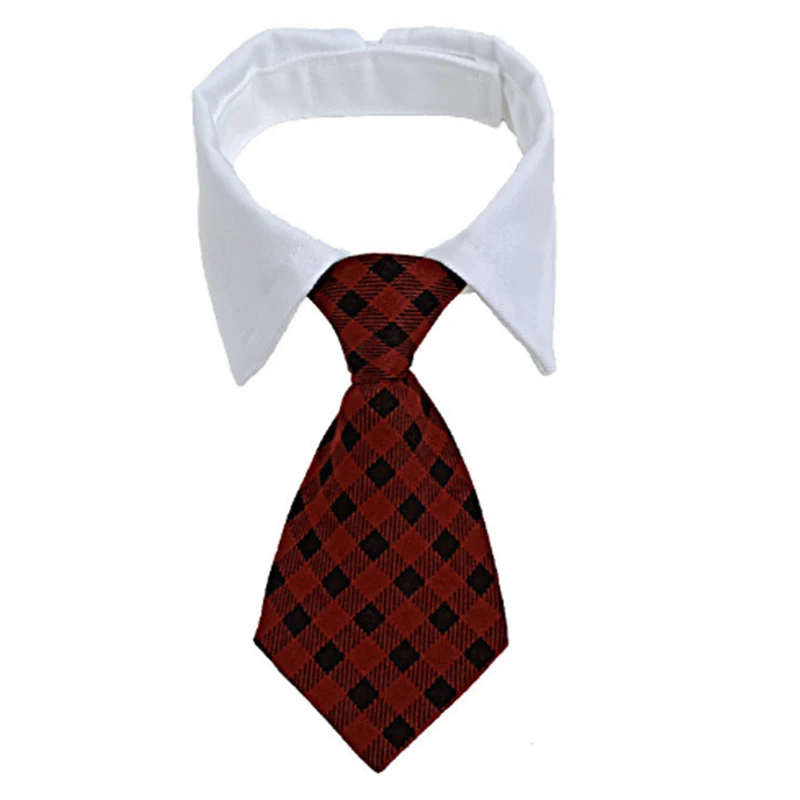 Gravata Listrada Pet, Laço Teddy, Lenço, Blusa e Coleira, acessórios para cães que combinam estilo, conforto e elegância.