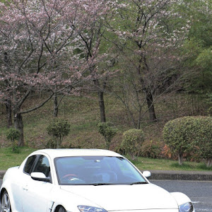 RX-8 SE3P