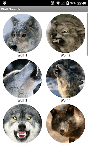 Wolf Sounds