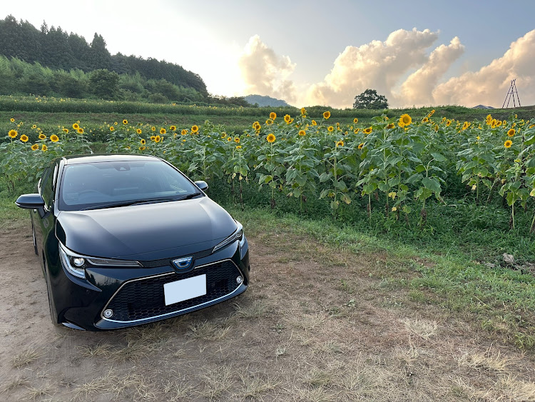 カローラツーリングのカローラツーリングハイブリッド・ひまわりロード🌻・トヨタ・ハイブリッドに関するカスタム事例の投稿画像1枚目