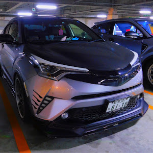 C-HR ZYX10