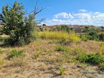 terrain à batir à Montpeyroux (34)