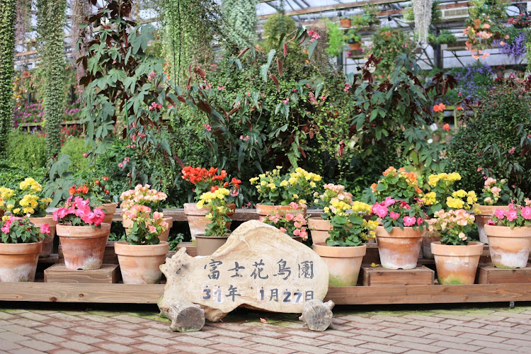 ランサーエボリューションのドライブ・朝霧高原もちや・富士花鳥園・富士山と愛車に関するカスタム事例の投稿画像2枚目