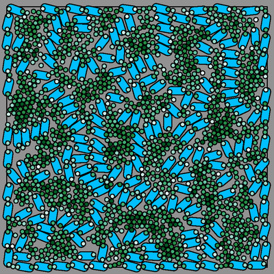 A statistical-mechanical model of a grana layer