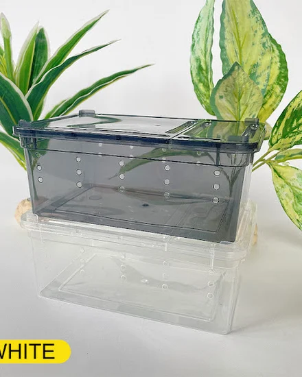 Terrarium for Reptiles Spider Transparent Plastic Feeding... - 0