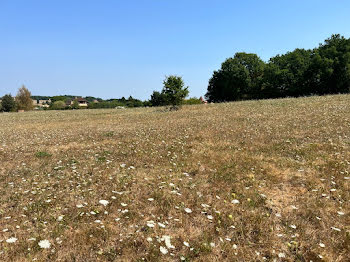 terrain à Lanquais (24)