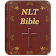 NIV Bible offline audio free version icon