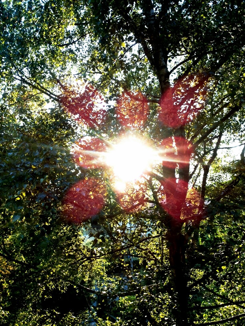 sole al tramonto di nonnaeloisa